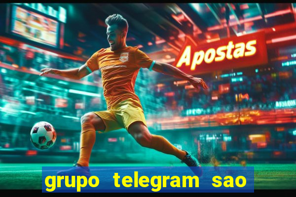 grupo telegram sao jose do rio preto